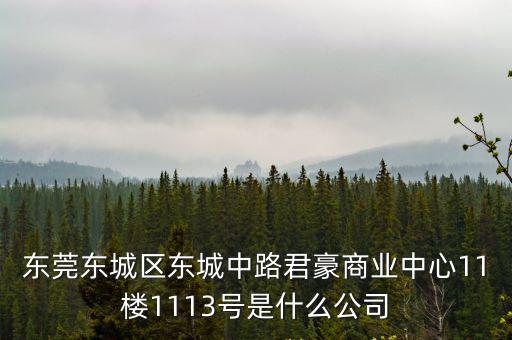 東莞東城區東城中路君豪商業中心11樓1113號是什么公司