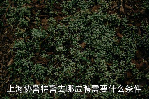 上海協警特警去哪應聘需要什么條件