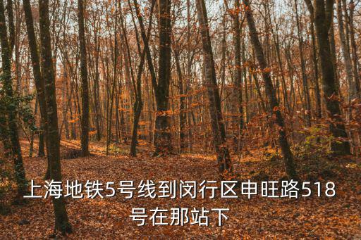 上海地鐵5號線到閔行區申旺路518號在那站下