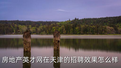 房地產(chǎn)英才網(wǎng)在天津的招聘效果怎么樣