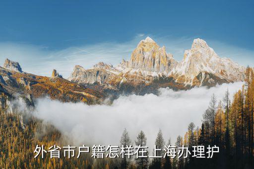 上海市出入境 國(guó)籍審訂 戶口，外省市戶籍怎樣在上海辦理護(hù)