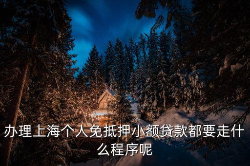 辦理上海個人免抵押小額貸款都要走什么程序呢