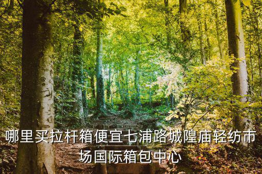 上海市皮箱批發市場，哪里買拉桿箱便宜七浦路城隍廟輕紡市場國際箱包中心