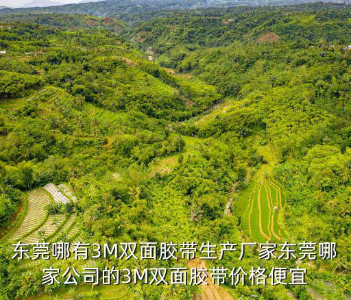 東莞哪有3M雙面膠帶生產(chǎn)廠家東莞哪家公司的3M雙面膠帶價(jià)格便宜