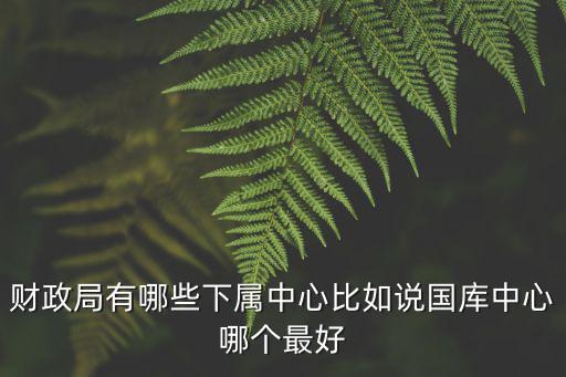 財政局有哪些下屬中心比如說國庫中心哪個最好