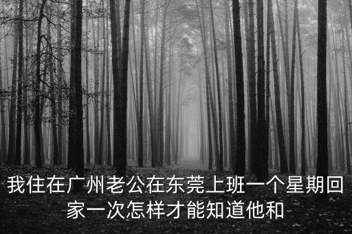 我住在廣州老公在東莞上班一個(gè)星期回家一次怎樣才能知道他和