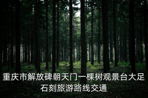 重慶市解放碑朝天門一棵樹觀景臺大足石刻旅游路線交通