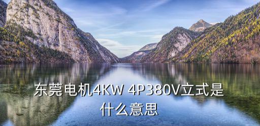 東莞電機4KW 4P380V立式是什么意思