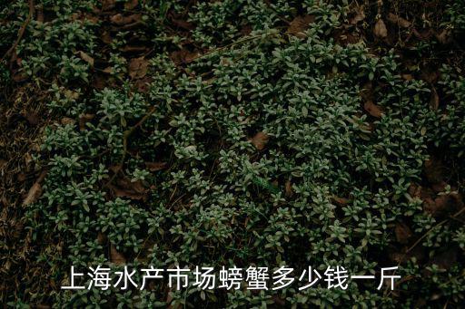 上海市現在青蟹價格，青蟹多少錢一斤