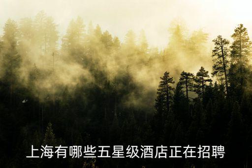 上海市中心最好的酒店招聘信息，上海有哪些五星級酒店正在招聘
