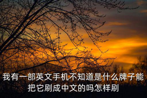 我有一部英文手機不知道是什么牌子能把它刷成中文的嗎怎樣刷