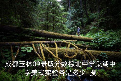 成都玉林09錄取分數棕北中學棠湖中學美式實驗各是多少  搜