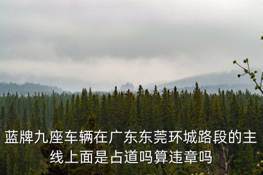 藍牌九座車輛在廣東東莞環城路段的主線上面是占道嗎算違章嗎
