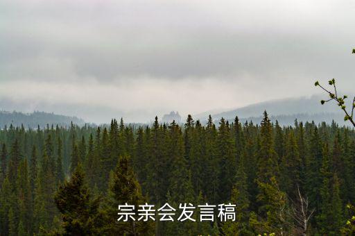 宗親會發言稿