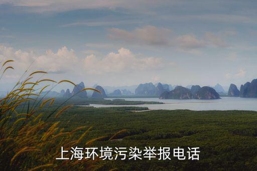 上海環境污染舉報電話