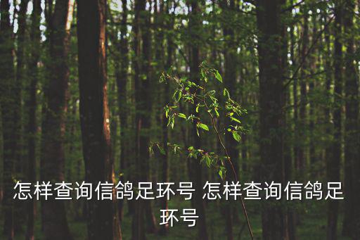 怎樣查詢信鴿足環(huán)號(hào) 怎樣查詢信鴿足環(huán)號(hào)
