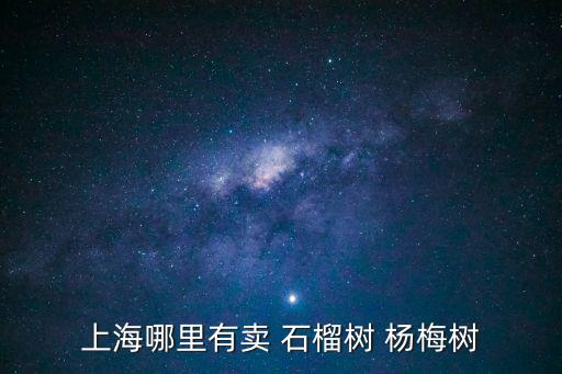 上海市有楊梅樹嗎，從上海寶山自駕怎么到蘇州東山采楊梅的地方要具體路線