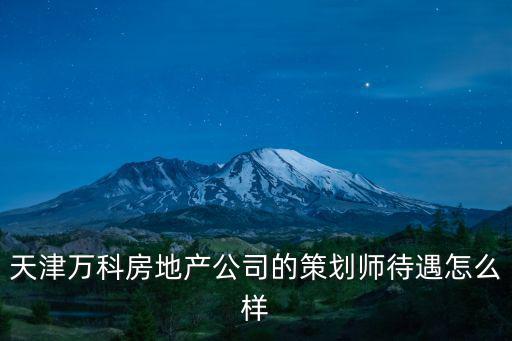 天津萬科房地產公司的策劃師待遇怎么樣