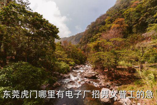 東莞虎門哪里有電子廠招男女普工的急