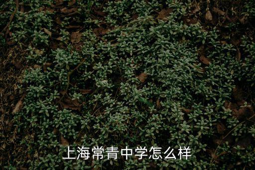 上海常青中學(xué)怎么樣