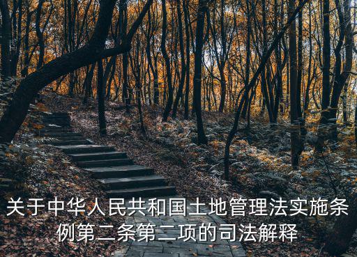 關于中華人民共和國土地管理法實施條例第二條第二項的司法解釋