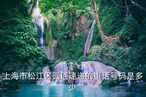 上海市松江區圓通速遞的電話號碼是多少