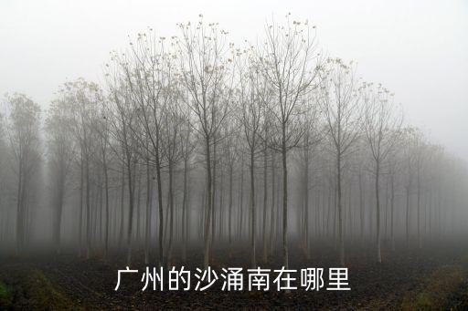 廣州的沙涌南在哪里