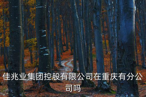 佳兆業集團控股有限公司在重慶有分公司嗎