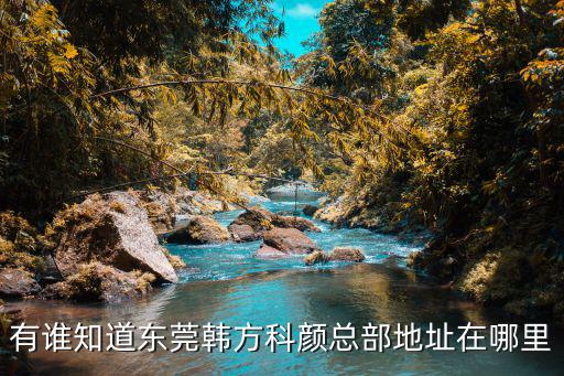 有誰知道東莞韓方科顏總部地址在哪里