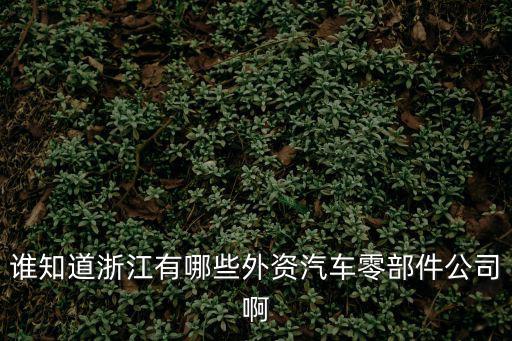 誰(shuí)知道浙江有哪些外資汽車零部件公司啊