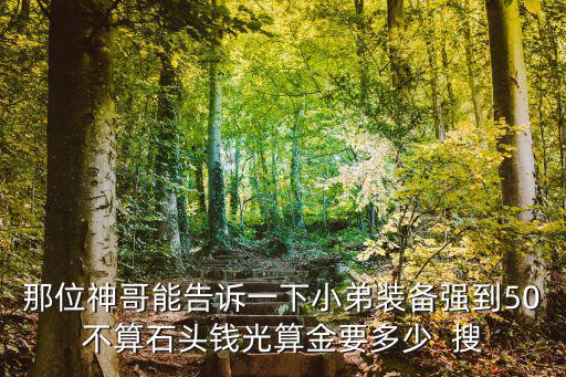 那位神哥能告訴一下小弟裝備強(qiáng)到50不算石頭錢(qián)光算金要多少  搜