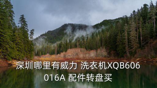 深圳哪里有威力 洗衣機XQB606016A 配件轉(zhuǎn)盤買