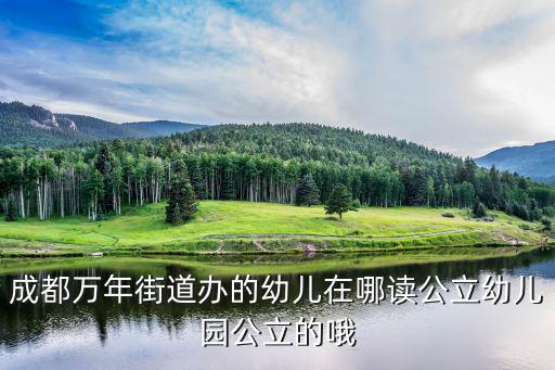 成都萬(wàn)年街道辦的幼兒在哪讀公立幼兒園公立的哦