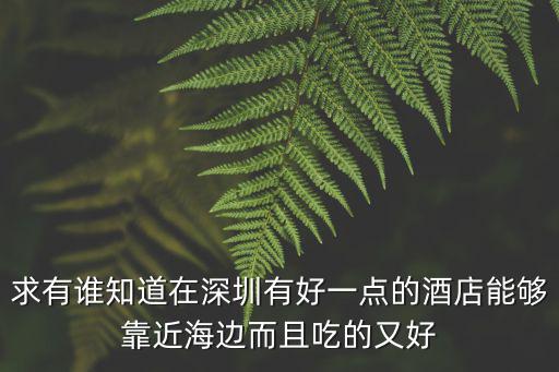 求有誰(shuí)知道在深圳有好一點(diǎn)的酒店能夠靠近海邊而且吃的又好
