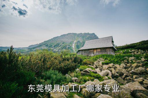 東莞模具加工廠哪家專業