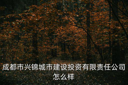 成都市興錦城市建設投資有限責任公司怎么樣