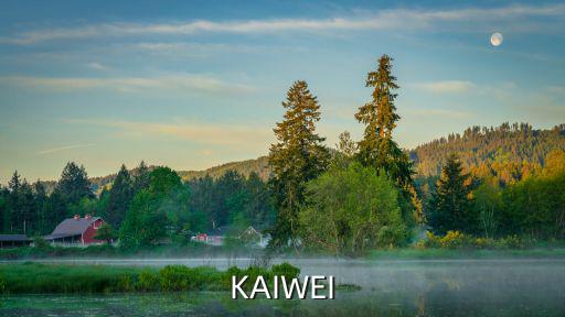 KAIWEI