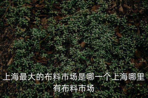 上海最大的布料市場是哪一個上海哪里有布料市場