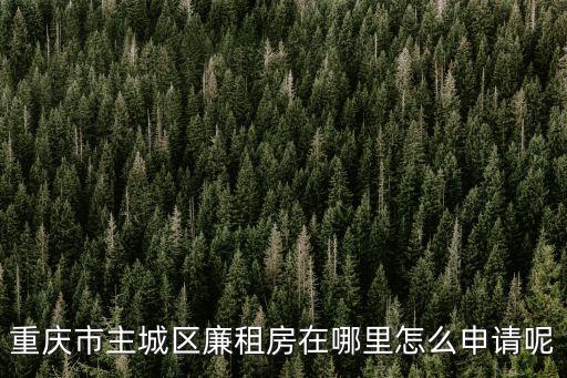 重慶市石柱申請廉租房在哪里問，你好 麻煩問哈重慶石柱廉租房怎么查有沒有我