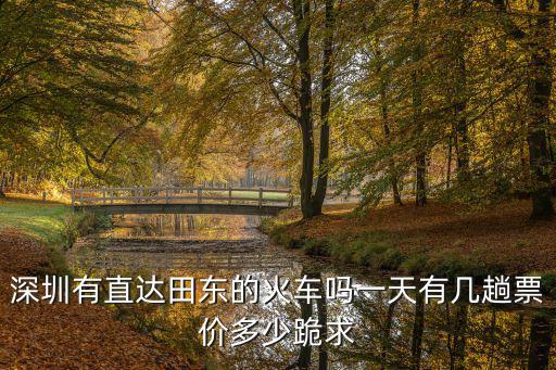深圳有直達田東的火車嗎一天有幾趟票價多少跪求