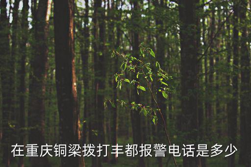 重慶市銅梁縣東城派出所官網(wǎng)，重慶市綦江縣東城派出所有官網(wǎng)嘛