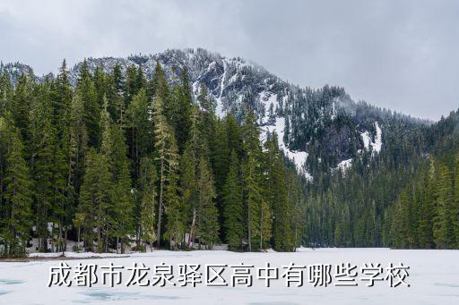 成都市龍泉外國語學校師資，巴中龍泉外國語學校是一個什么類型的學校