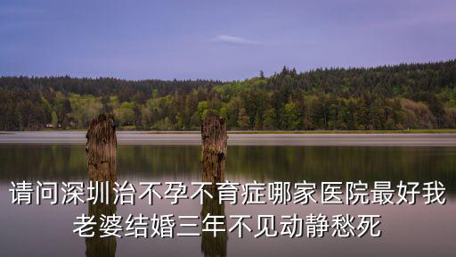 請問深圳治不孕不育癥哪家醫院最好我老婆結婚三年不見動靜愁死