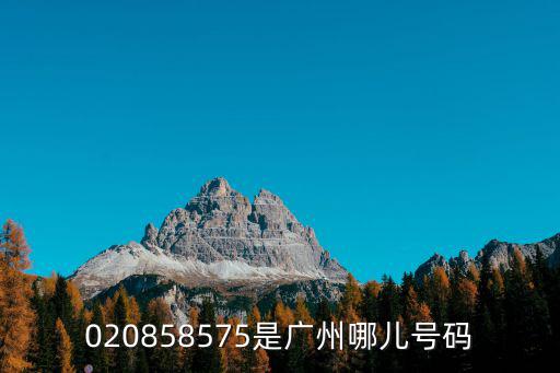 020858575是廣州哪兒號(hào)碼