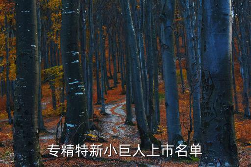 上海市 專精特新 名單，上海中泰多經國際貿易有限責任公司屬于專精特新企業么
