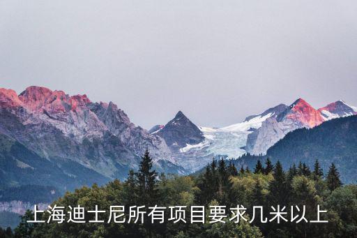 上海迪士尼所有項目要求幾米以上