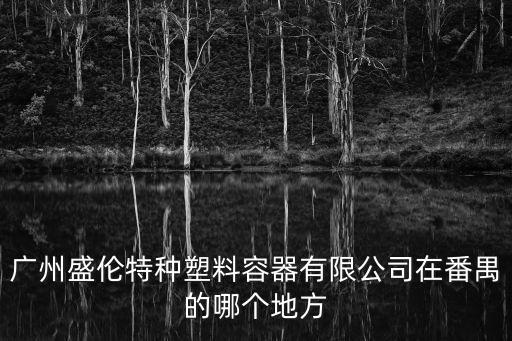 廣州盛倫特種塑料容器有限公司在番禺的哪個地方