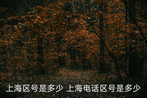 上海市座機電話區號，上海區號是多少 上海電話區號是多少