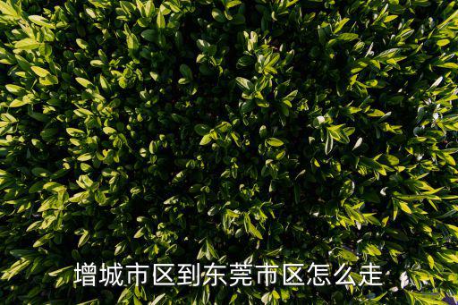 增城市區(qū)到東莞市區(qū)怎么走