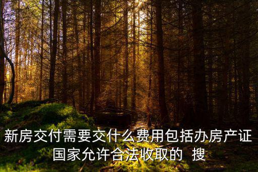 新房交付需要交什么費用包括辦房產證國家允許合法收取的  搜